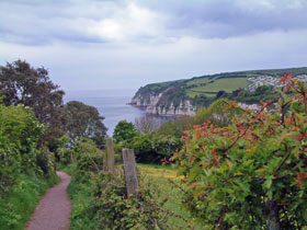 Cliff walks east Devon