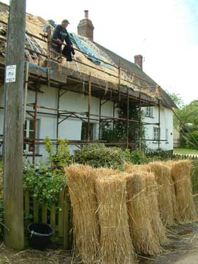 thatcher at work in Devon