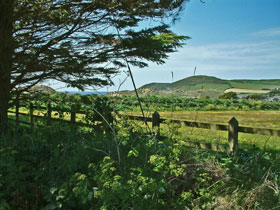 cottages in north Devon